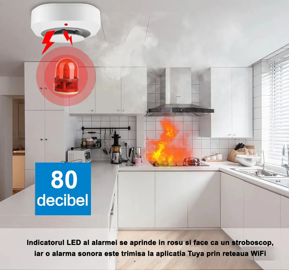 Detector-fum-inteligent-d4.png