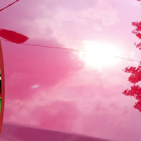 Preview image for the video "Car Paint Restoration Step #2 Mothers Micro Polishing Glaze".