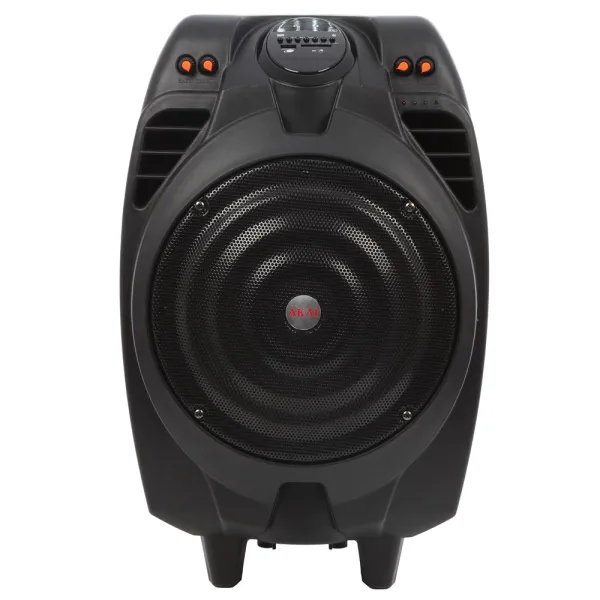 boxa portabila activa SS023A-X10
